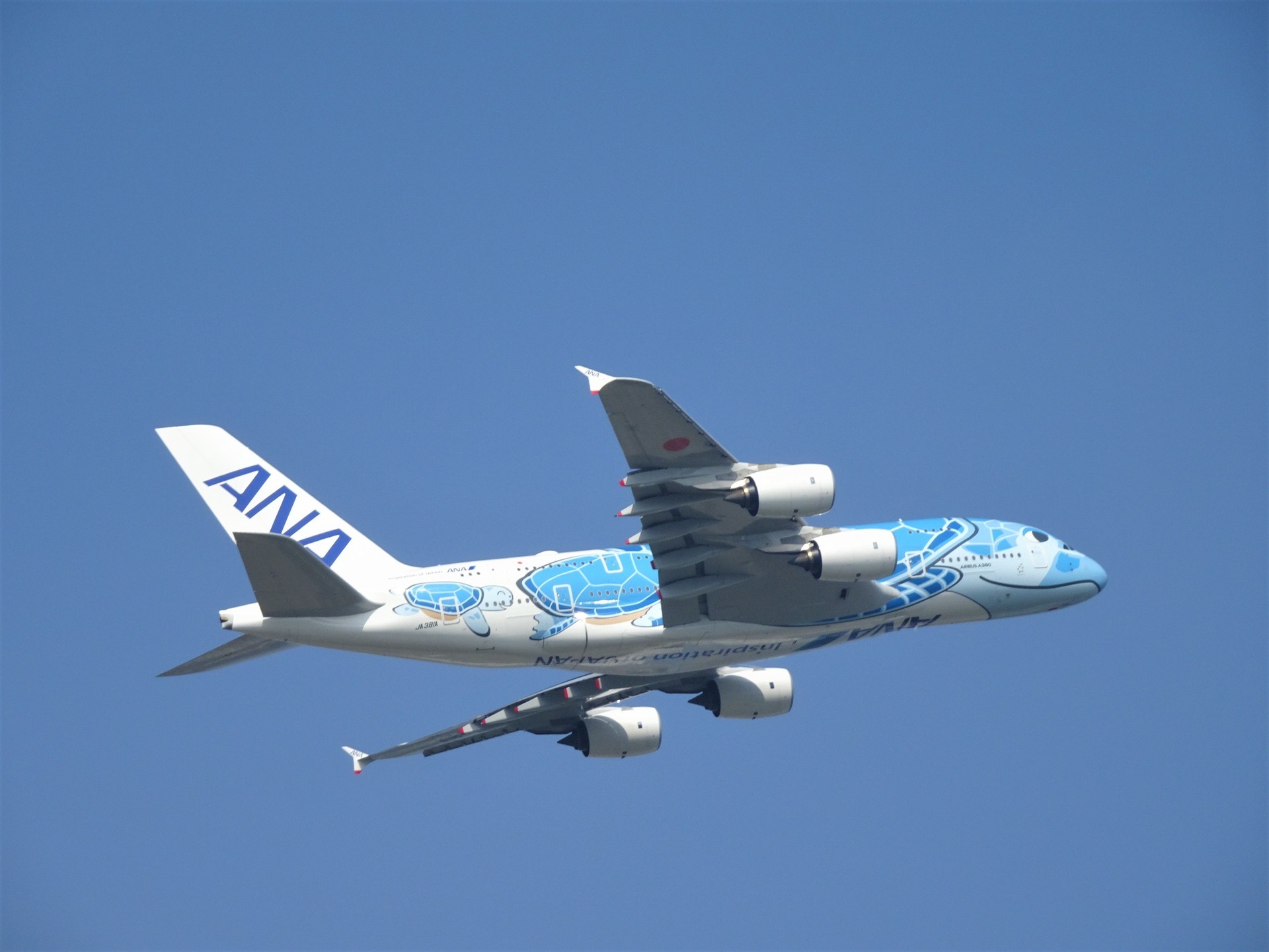 Ana A380 Flying Honu チャーターフライト 見学記 アジアへ行こう