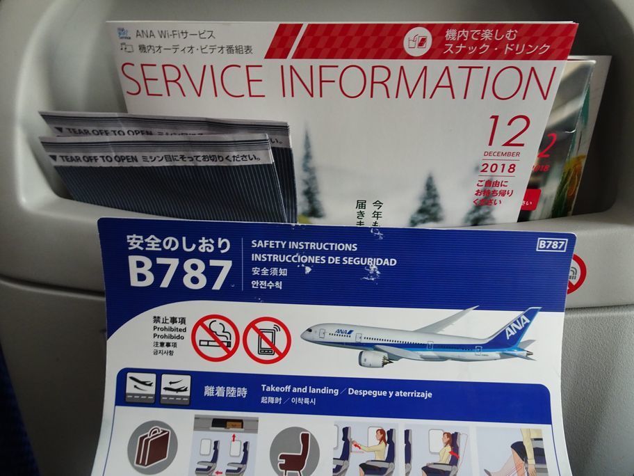 ANA（全日空）592便（松山→羽田）搭乗記（この日から機内安全ビデオが歌舞伎風に！ 最後はデルタ航空機と並走）: アジアへ行こう！